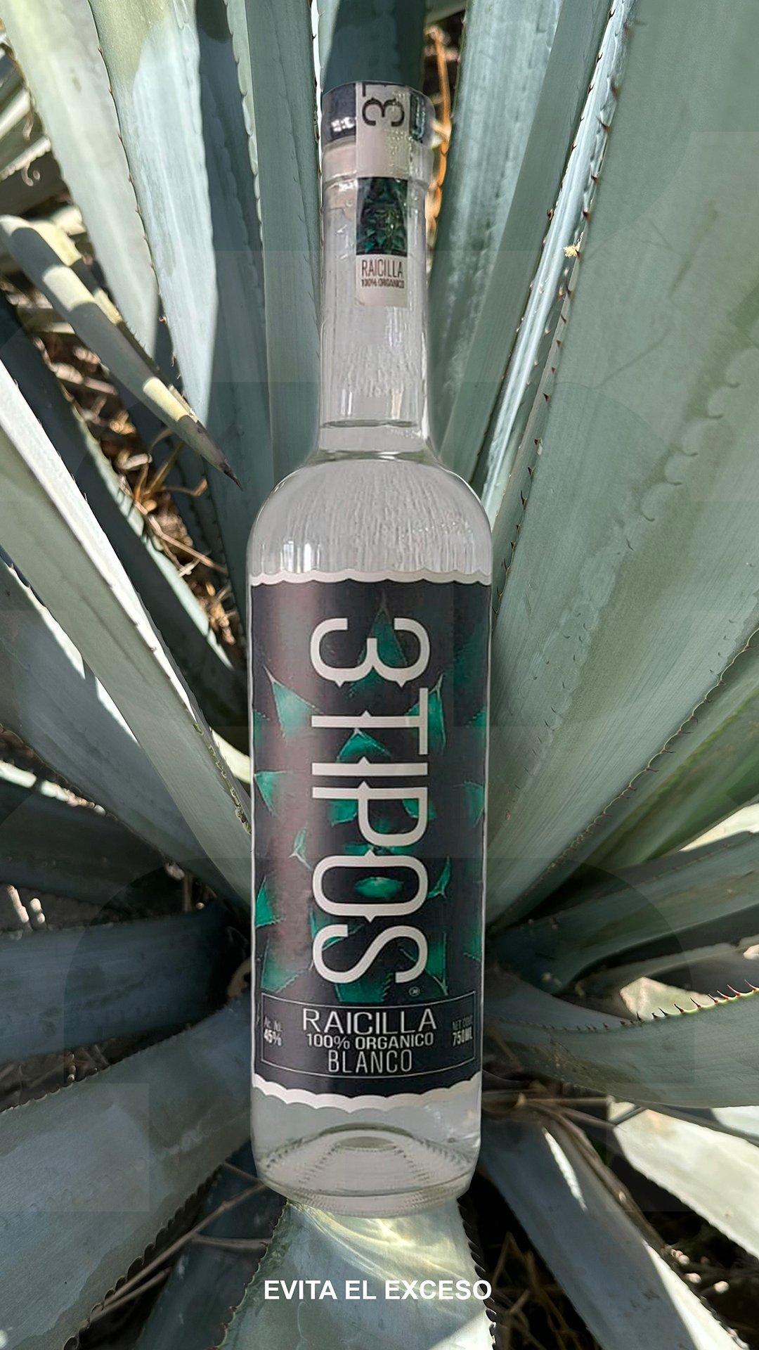 raicilla1920